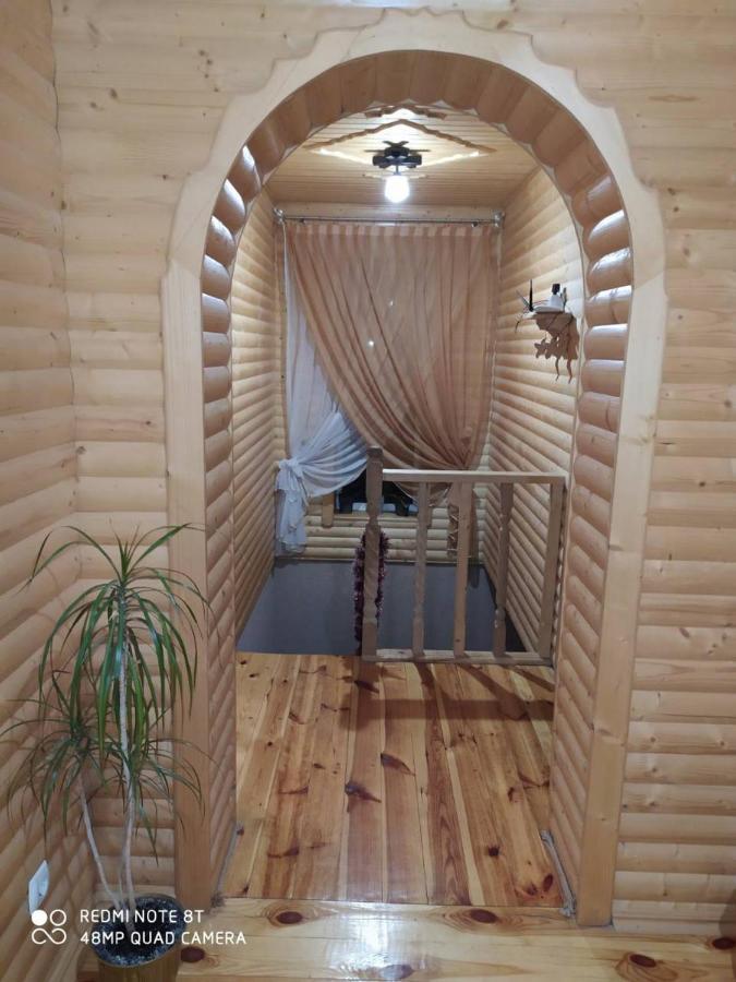 Villa Карпатські Зорі Pilipets Exterior foto