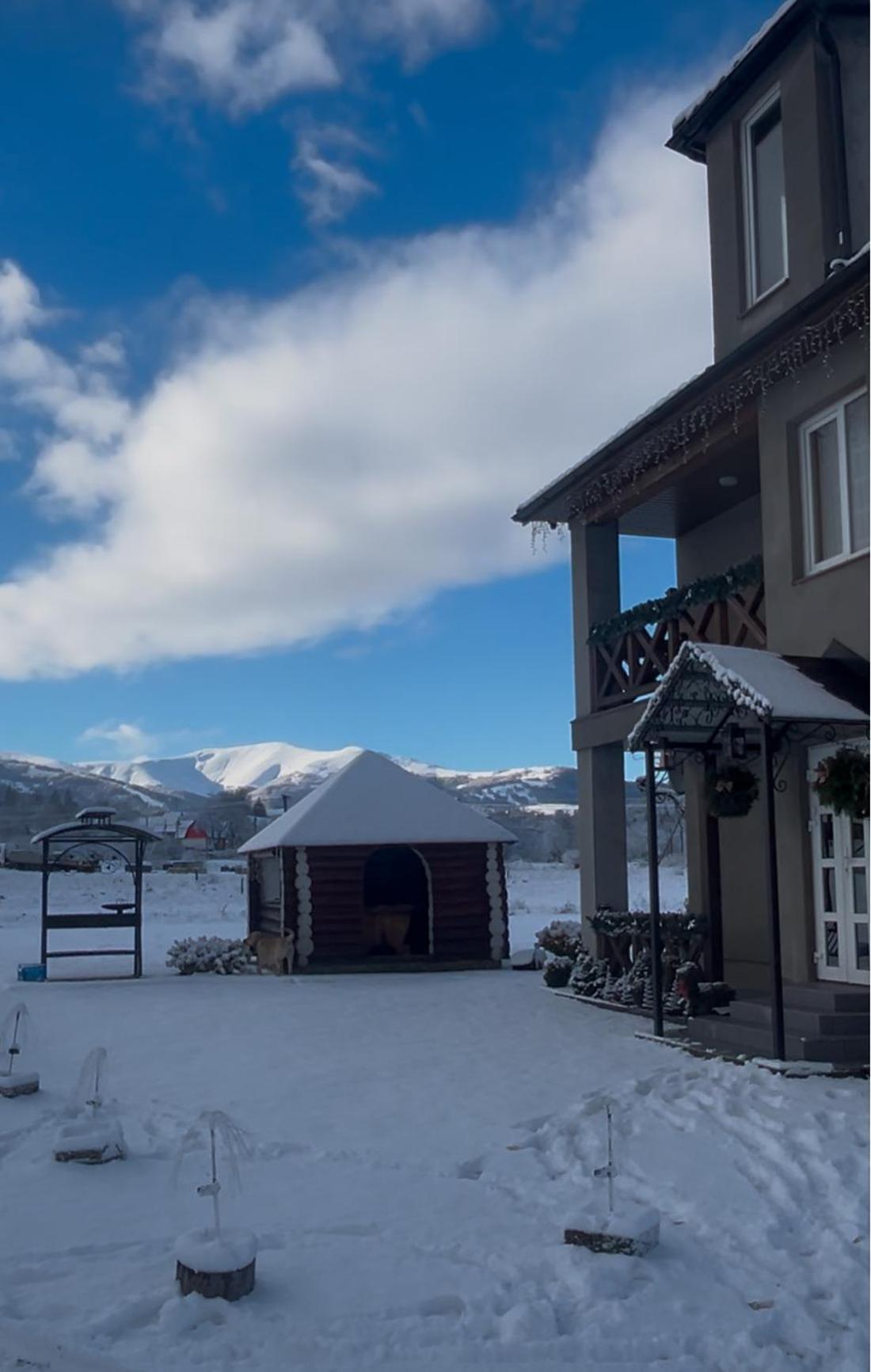 Villa Карпатські Зорі Pilipets Exterior foto
